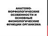 Анатомо-морфологические особенности и основные физиологические функции организма