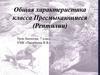 Общая характеристика класса Пресмыкающиеся (Рептилии)