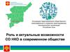 Роль и актуальные возможности СО НКО в современном обществе