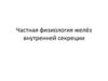 Частная физиология желёз внутренней секреции