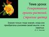 Генеративные органы растений. Строение цветка