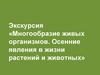 Многообразие живых организмов. Осенние явления в жизни растений и животных