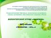 Волонтерский отряд «Надежда». Арт-объект «Экология – это...»
