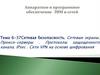 Сетевая безопасность. Сетевые экраны. Прокси-серверы . Протоколы защищенного канала. IPsec