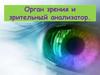 Орган зрения и зрительный анализатор