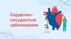 Сердечно-сосудистые заболевания