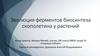Эволюция ферментов биосинтеза скополетина у растений