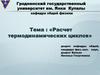 Термодинамические циклы. Расчет термодинамических циклов