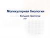 Молекулярная биология