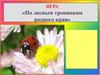 Игра «По лесным тропинкам родного края»