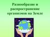 Разнообразие и распространение организмов на Земле