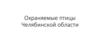 Охраняемые птицы Челябинской области