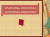 Омонимы, синонимы, антонимы, паронимы