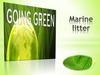 Marine Litter