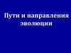 Пути и направления эволюции
