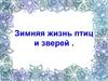 Зимняя жизнь птиц и зверей