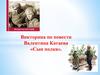 Викторина по повести Валентина Катаева «Сын полка»