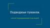 Подводные туннели. Способ передвижения под водой