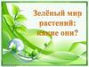 Зеленый мир растений