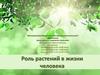 Роль растений в жизни человека. Часть 2