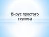 Вирус простого герпеса (ВПГ)