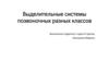 Выделительные системы позвоночных разных классов