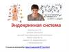 Эндокринная система