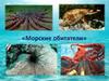 Морские обитатели. Викторина