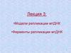 Модели репликации мтДНК. Ферменты репликации мтДНК. Лекция 3