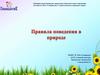 Правила поведения в природе