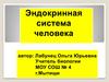 Эндокринная система человека