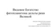 Видовое богатство фитопланктона дельты реки Великой