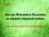 Австро-Венгрия и Балканы до первой мировой войны