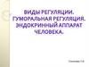 Виды регуляции. Гуморальная регуляция