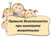 Правила безопасности при контакте животными