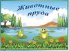 Животные пруда