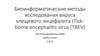 Биоинформатические методы исследования вируса клещевого энцефалита (Tickborne encephalitis virus (TBEV)