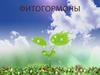 Фитогормоны