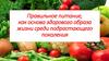 Правильное питание, как основа здорового образа жизни среди подрастающего поколения