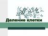 Деление клеток