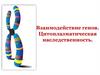 Взаимодействие генов. Цитоплазматическая наследственность
