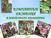 Комнатные растения