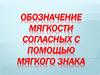 Обозначение мягкости согласных с помощью мягкого знака