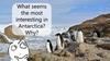 Speaking. What seems the most interesting in Antarctica? Why?