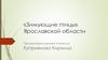 Зимующие птицы Ярославской области. 4 класс