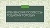Пензенские поэтессы - родному городу