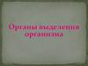 Органы выделения организма