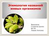 Этимология названий живых организмов