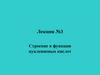 Строение и функции нуклеиновых кислот. Лекция №3