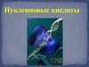 Нуклеиновые кислоты